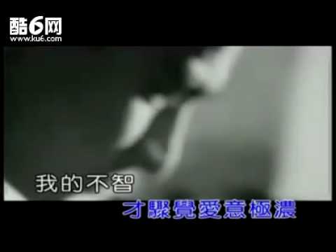 愛極濃 劉德華