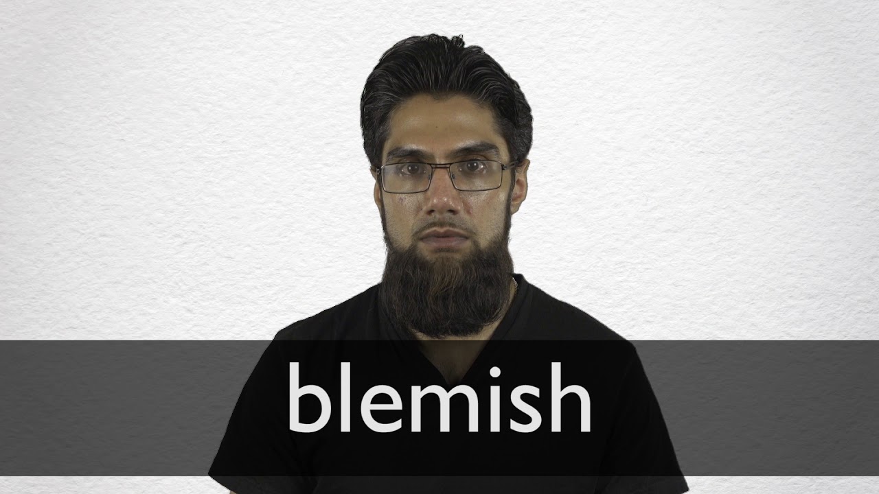 BLEMISH definition in American English