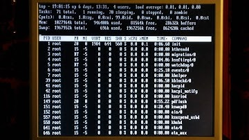 The Future Kusimorphic HD