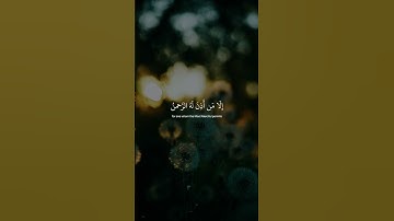 يَوْمَ يَقُومُ الرُّوحُ وَالْمَلَائِكَةُ صَفًّا ۖ لَّا يَتَكَلَّمُون_سوره النبأ#قرآن #عبدالرحمن_مسعد