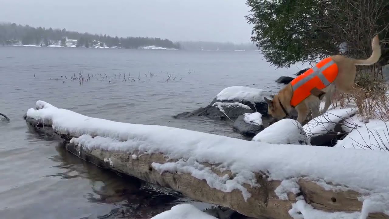A Relaxing Winter Hike Through Ontario