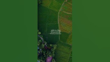 تلاوة خاشعة من سورة إبراهيم | ياسر الدوسري 🌲☘️