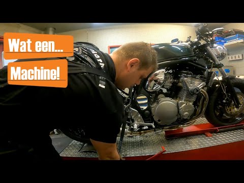 Getuned voor Perfectie |Testbank Wetenschap | #128