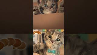 Cute Kitten Little Cat Adventure - Play Fun Pet Care -