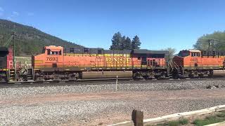 BNSF 8145 south at Palmer Lake - 6 locomotives including CN and Ferromex