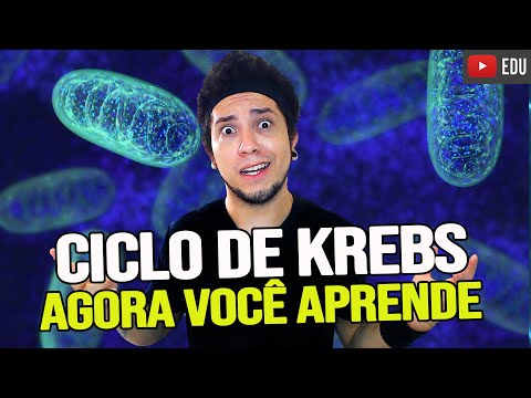 Vídeo: O que a fumarase faz?