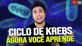 CICLO DE KREBS - ENTENDA DE UMA VEZ POR TODAS