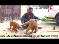 Bandar or bandariya ka  khel  funny  comedy from my i phone