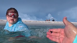 Diving For Shark Teeth At Boca Grande