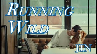 【和訳・カナルビ】JIN『Running Wild』Lyrics【Japanese translations】