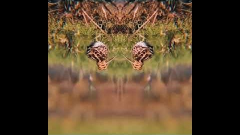 Video & Music Experiment #1 - Drowning. ⁠Lockdown April 2020.⁠