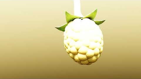 Raspberry - Geometry Node - Blender - from Bad Normals