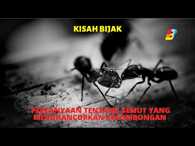 Pertanyaan tentang Semut Yang Menghancurkan Kesombongan | KISAH BIJAK | BIJAK TV class=