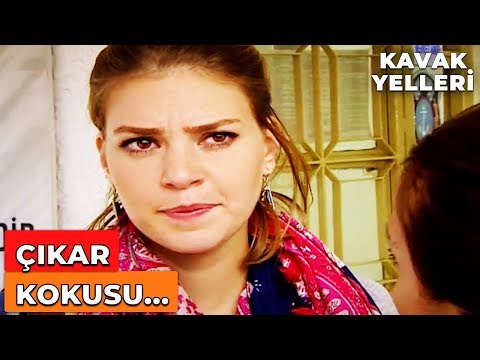 Mine'ye Kötü Haber! | Kavak Yelleri 93. Bölüm