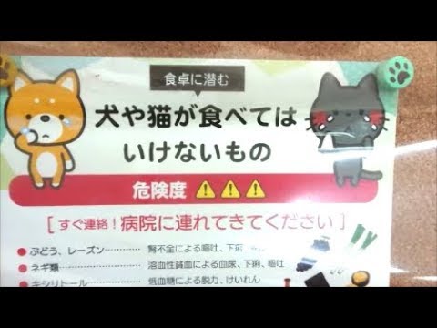 いけない て は もの 猫 が 食べ