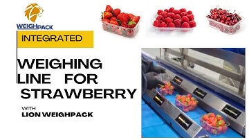 The SHOCKING Efficiency of Automated Strawberry Packing Machines