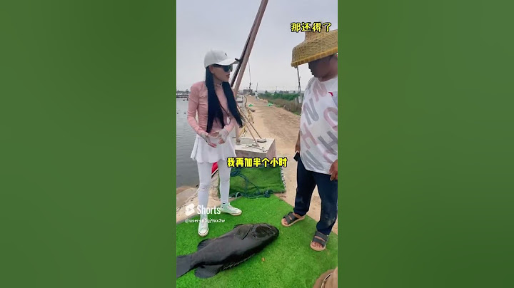 美女釣上百公斤龍躉！ #shorts #釣魚 #龍躉 #钓鱼 #fishing #comedyvideos