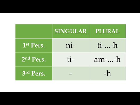 Feature Focus - Verb Agreement