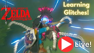 Learning Glitches in BOTW LIVE!!!