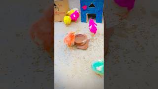 Chicks Vidio For Baby #babychicks #talkingnature #adorablechicks