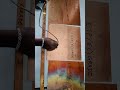 Video Image