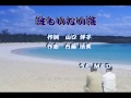 誰もいない海 M&D