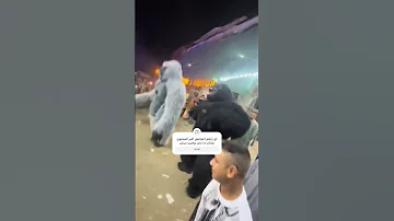 حد شاف الغوريلا عملت اي اخواتشي باندا اكسبلور مهرجانات ترند الغوريلا Musicgenre 