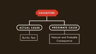 Criminal Law tutorial: Causation | quimbee.com Net Worth