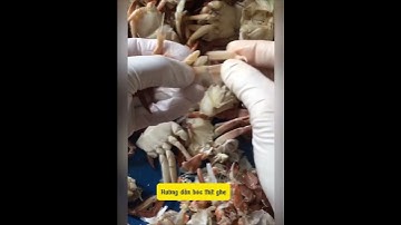 Hướng dẫn bóc thịt ghẹ đúng cách | MINOS .COM.VN #minos #hảisảnminos #seafood #minos2