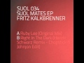 Fritz Kalkbrenner - Right In The Dark (Henrik Schwarz Remix - Chopstick &amp; Johnjon Edit)