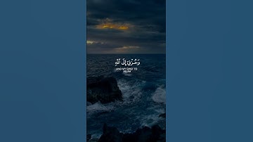 قال إنما أشكو بثي و حزني إلى الله و أعلم من الله ما لا تعلمون || سورة يوسف || القارئ: وديع اليمني