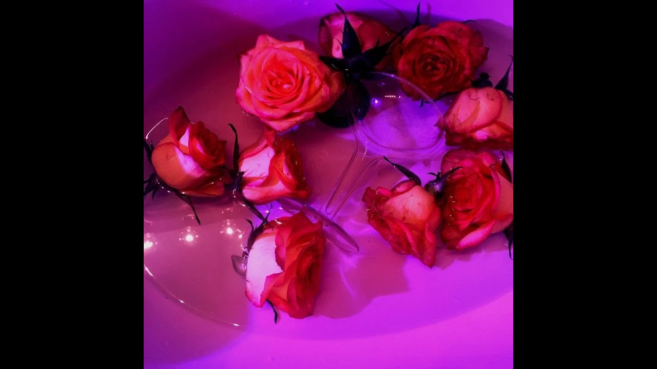 Она любила розы SLOWED