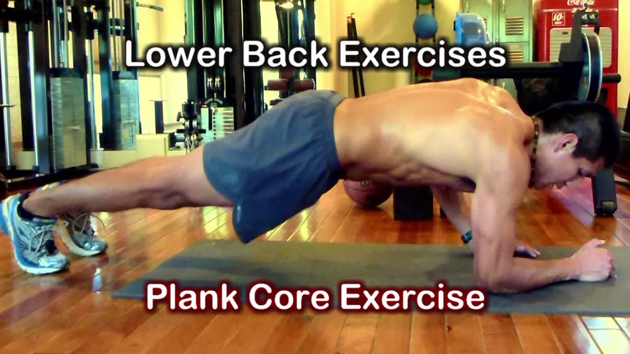 Lower Back Exercises 9 - Plank & Triceps Workouts - YouTube