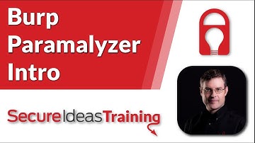 Burp Paramalyzer Intro