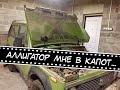 Аллигатор мне в капот или капот аллигатор на НИВУ