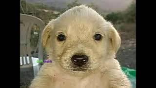 Por cada día que pasa el apocalipsis deja de ser un miedo y se torna una esperanza