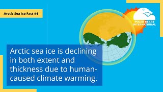 Arctic Sea Ice Fact #4: Heat-Trapping Blanket
