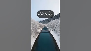 سورة الحاقة _ محمد البراك