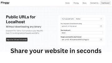 Pinggy - Localhost tunnels in seconds