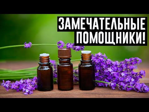 5 отличных способов использования эфирных масел в быту!