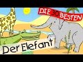  der elefant  partylieder zum mitsingen  kinderlieder