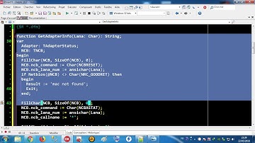 Delphi Trick 004 - Address IP & MAC