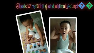 Animal Shadow matching and animal sound  |marosefernandez|