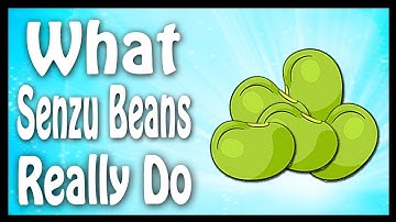 What Do Senzu Beans Really Do? (Explained) | Dragon Ball Code