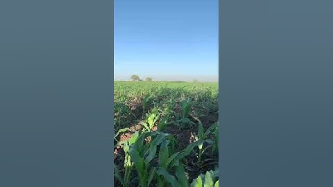 أجر الصابرين ما تيسر من سوره الزمر بصوت القارئ حماده محمد عبد العزيز