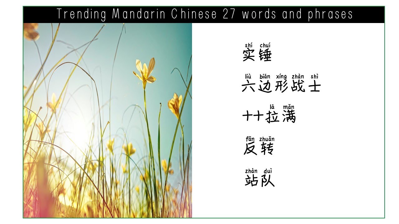 How to use 27 trending Mandarin Chinese words and phrases? 中高级中文 YouTube
