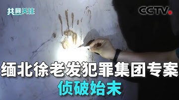 “14个园区诈骗11亿”！犯罪集团迅速“崛起”，手段残忍！缅北果敢“新兴势力”徐老发案细节曝光 20251017｜CCTV中文《共同关注》
