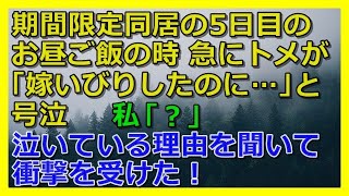 【修羅場】期間限定同居の5日目のお昼ご飯の時、急にトメが「嫁いびりしたのに…」と号泣→私「？」→泣いている理由を聞いて衝撃を受けた！【スカッと 修羅場 朗読 まとめ】