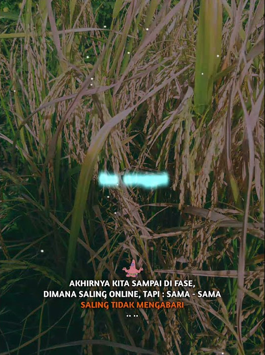 Story WA banyu moto uwes asat