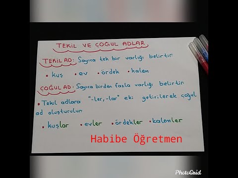 1. Sınıf Tekil Ve Çoğul Adlar